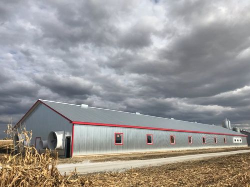 Ferme Daniel St-Jean 